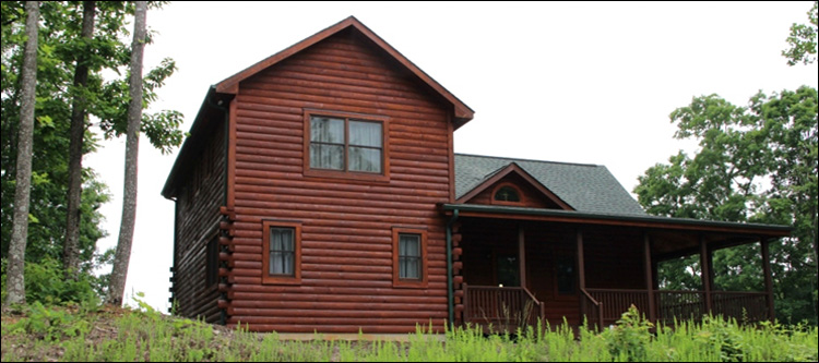 Professional Log Home Borate Application  Dorchester County,  South Carolina